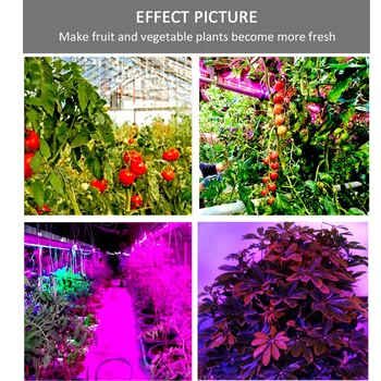LED Augalų Auga Fito Lempos Visą Spektrą LED Šviesos Juostelės Chip SMD 5050 LED Galingas Augti Šviesos efektą Sukeliančių augalų Hydroponic